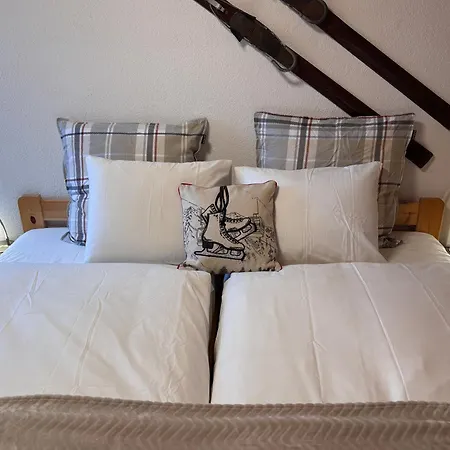 - Charme Alpin Wengen